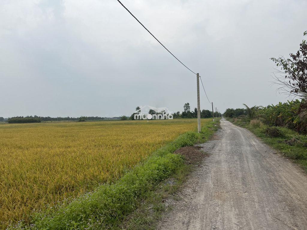 Bán 3,0ha đất đường kênh 10, lê minh xuân sát vành đai 3 - 2
