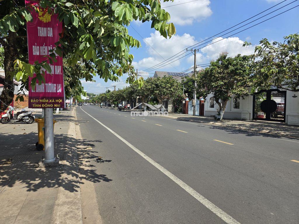 Mt đất vàng ng trãi,150m2, giá giảm sâu - 3