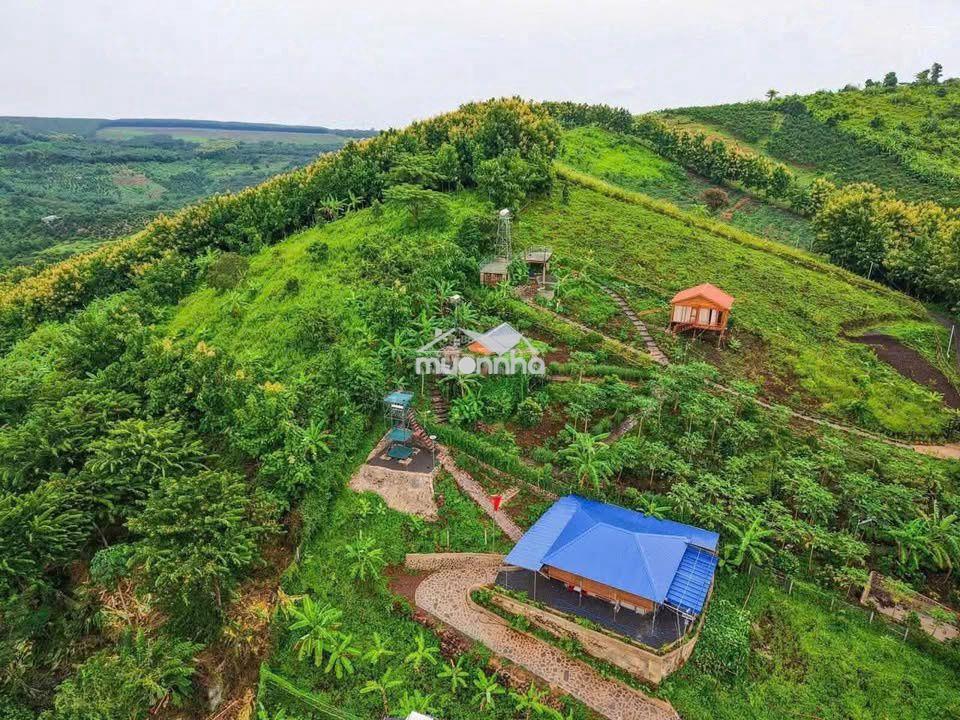 🌿 La ngà – 1.200m² đất vườn gần hồ trị an, chỉ 500 triệu - ht bank - 3