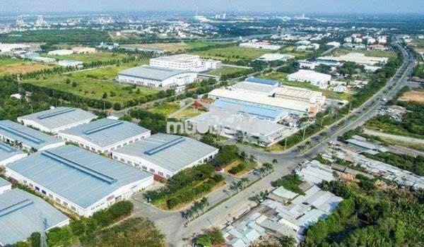 🔥 1 tỷ 280 sở hữu đất 161m² – mặt tiền nhựa 10m trung tâm gia kiệm! - 2