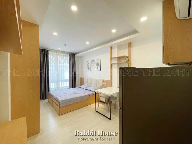 Cho thuê căn hộ 35m2 full nội thất nằm gần lotte mart vivo city ufm rmit tdtu nttu quận 7 - Ảnh 3