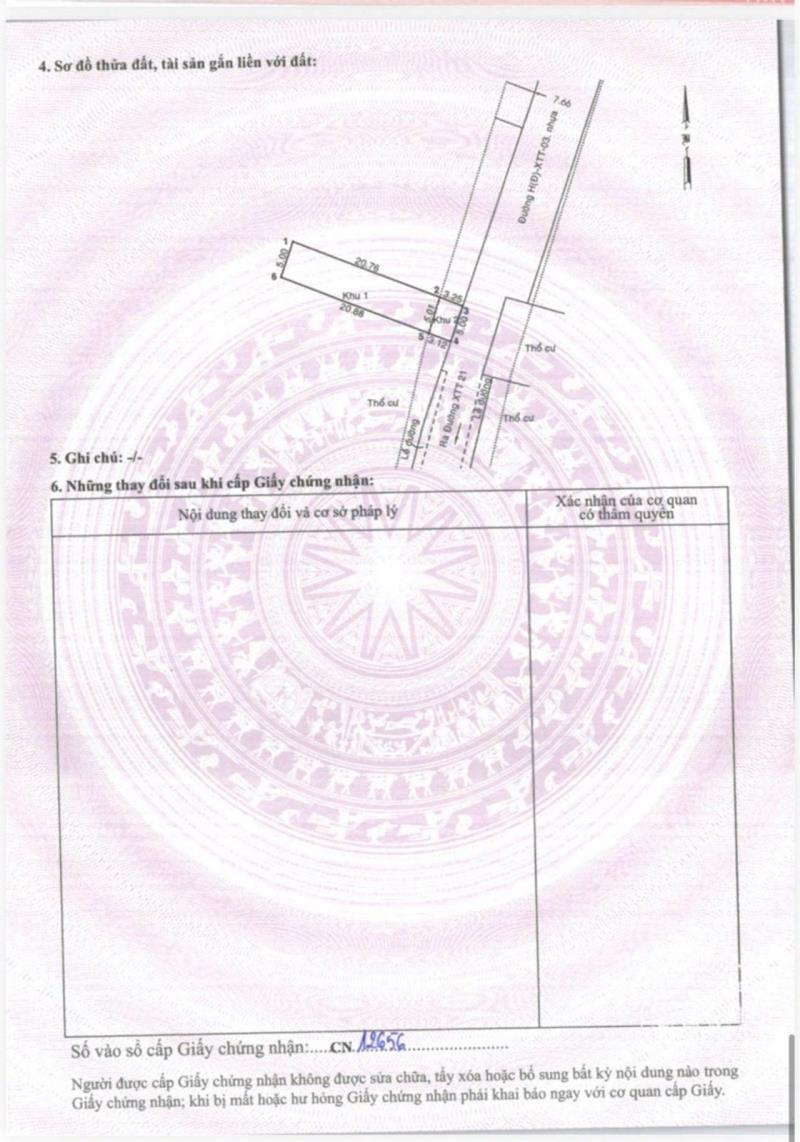 5 lô đất xuân thới thượng 20, bà điêm-hóc môn ( 5×24) 100m² full thổ - Ảnh 4