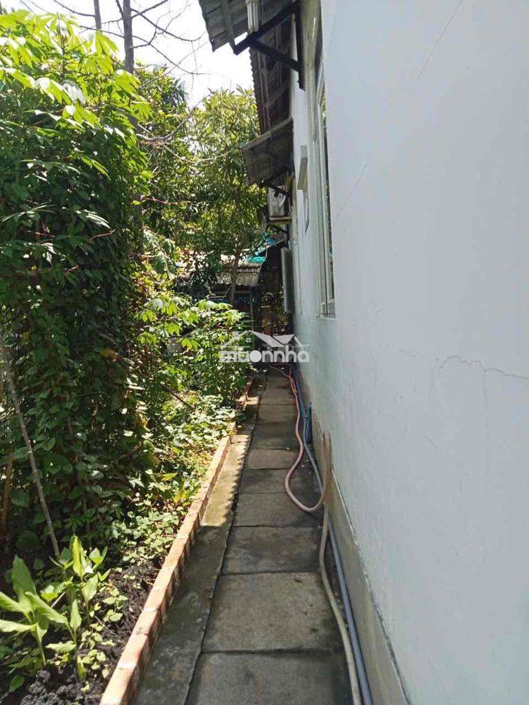 Nhà vườn chính chủ - 3