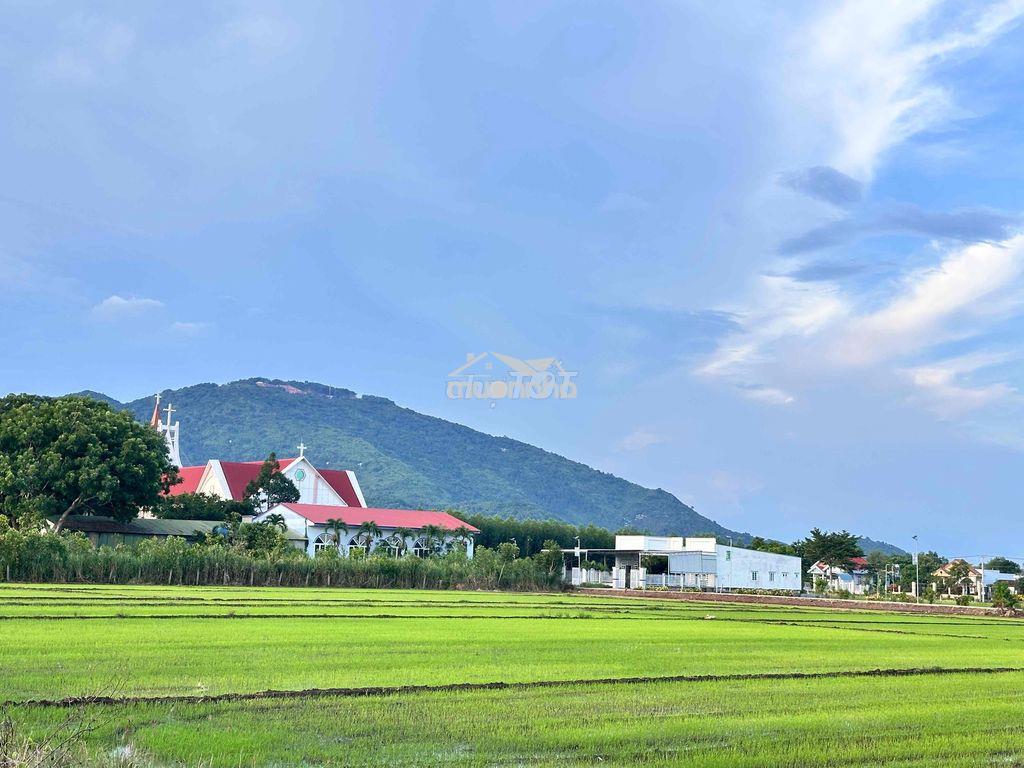 Homestay mini - 2