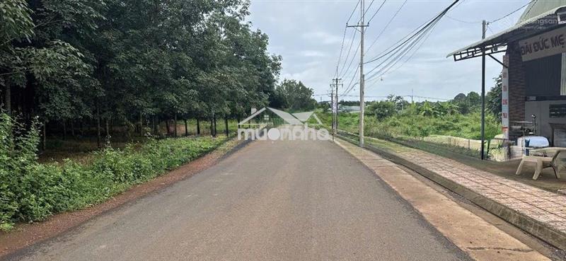 Chủ ngộp bán gấp 890tr full thổ cư, 123m2 mặt tiền xuân quế sông nhạn