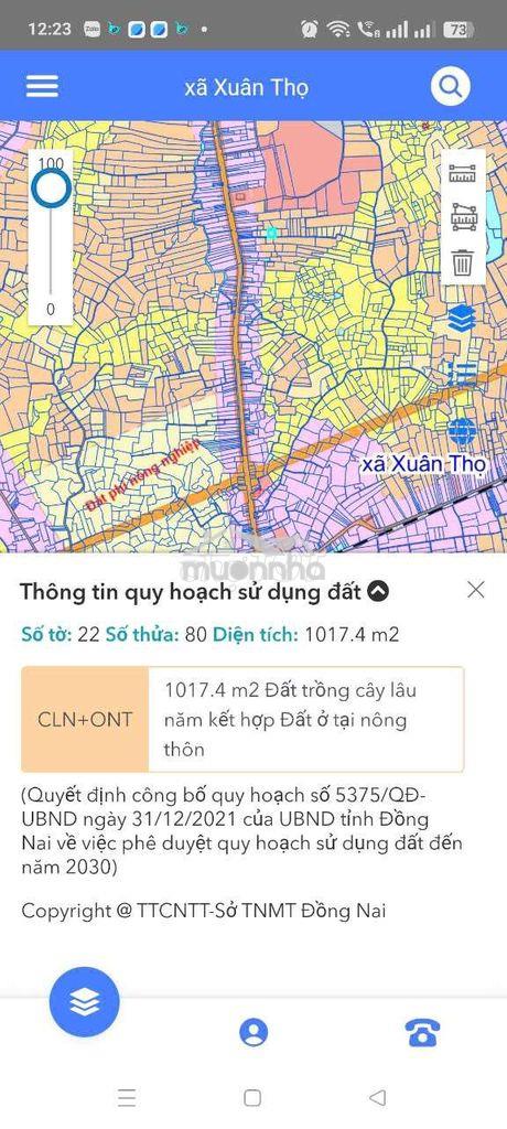 Bán nhà vườn đẹp 1.017m² nhiều mai vàng xuân lộc, giá chỉ 1,5 tỷ - Ảnh 3