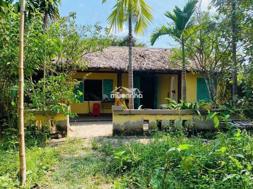 Cho thuê nhà sân vườn 1.300m2 thích hợp ở và kd cà phê sân vườn - 3