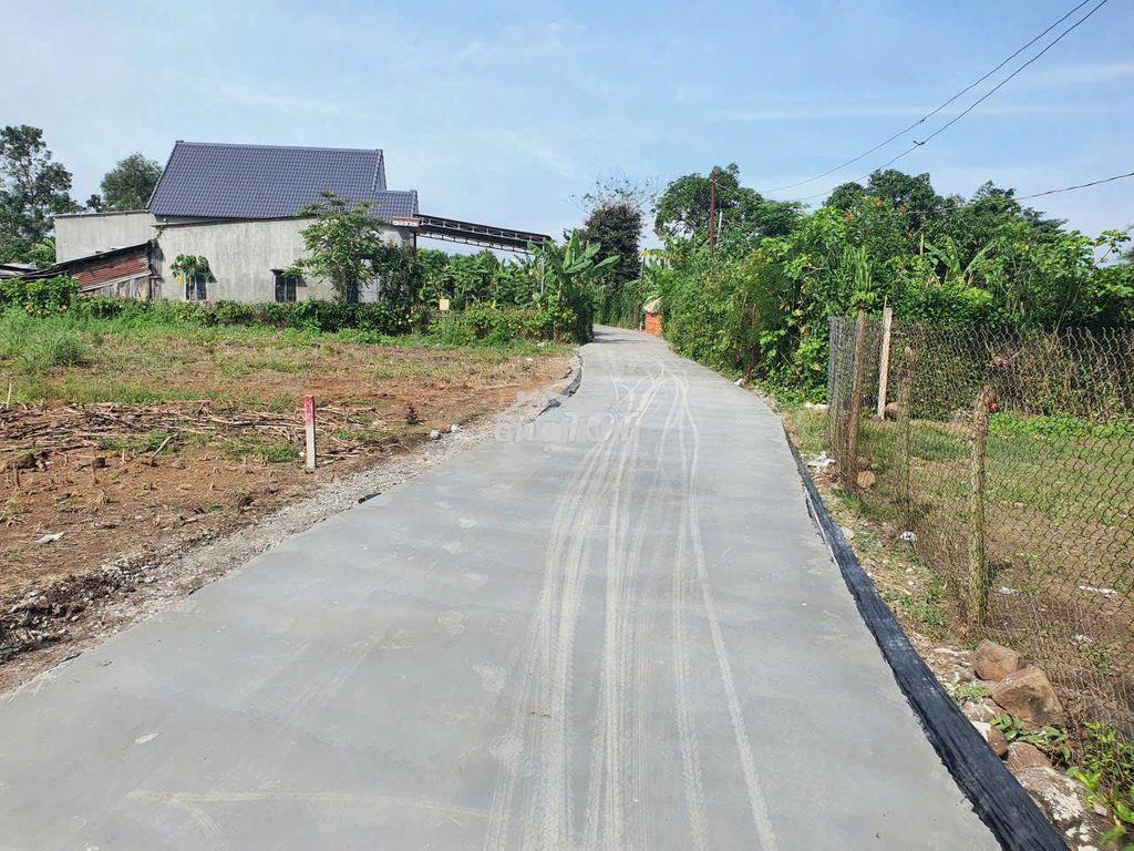 Chính chủ bán đất thổ cư tại xã sông rây cẩm mỹ. 118m2 - Ảnh 2