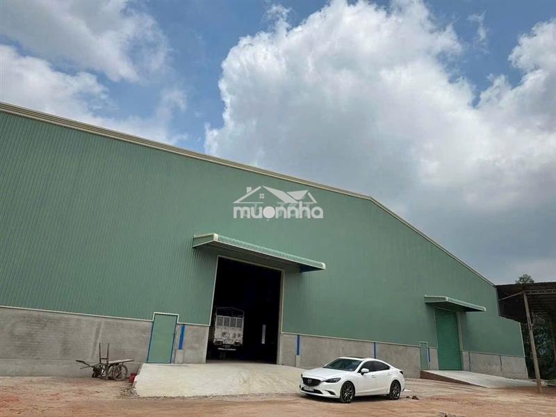 Cho thuê 5000m2 xưởng bàu bàng ,giá 65k/m2 ,g.tờ đầy đủ , đường cont