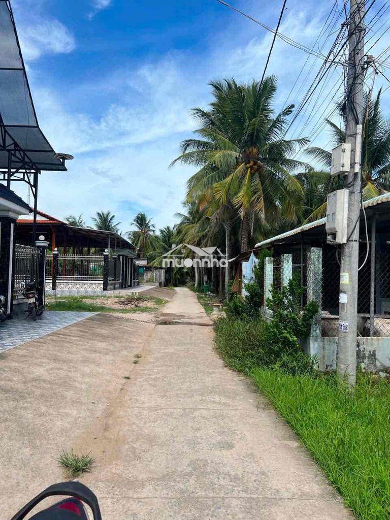 Bán nhà cấp 4 500 triệu 100 thổ cư tân phú đông tiền giang - 2