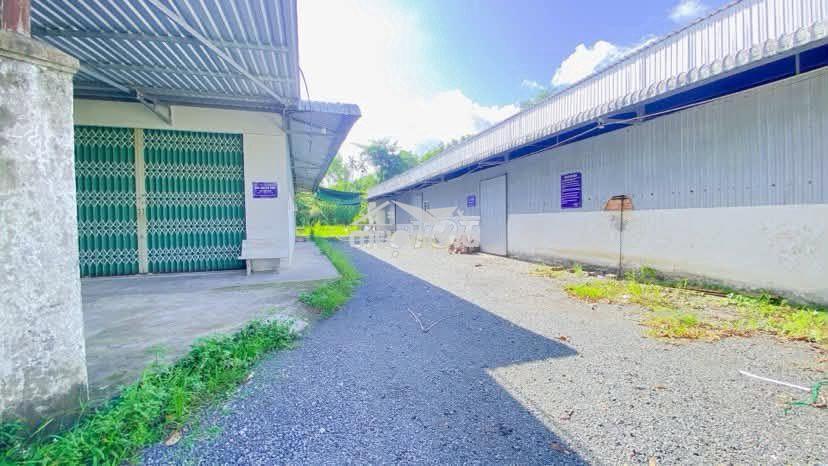 Cho thuê kho 1.100 m2 có sân mặt tiền ql 61c giá 15 triệu - 4