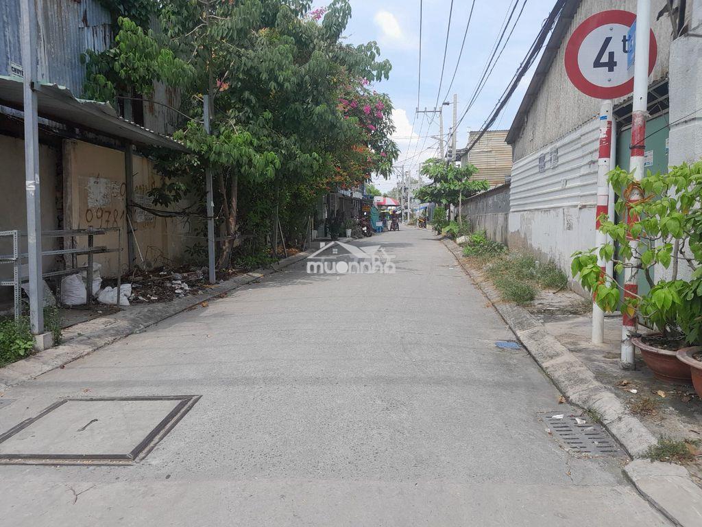 Cho thuê nhà nguyên căn hẽm xe hơi - 2
