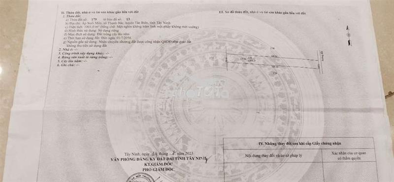 Đất nông nghiệp trồng cây lâu năm phân lô
