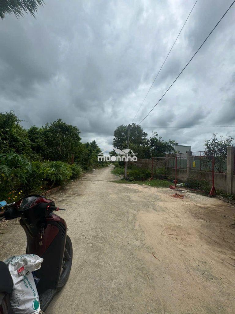 Nhà cho thuê gần khu cn tây bắc củ chi. - Ảnh 3