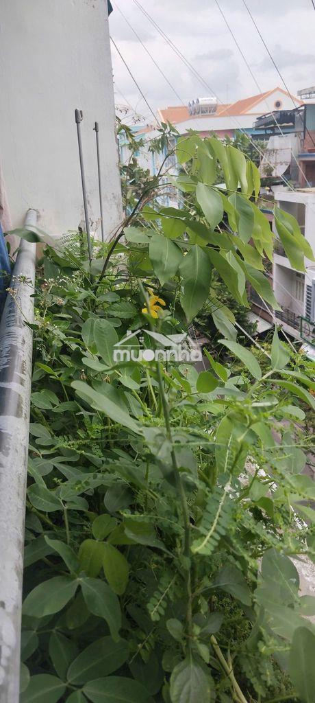 Cho thuê căn hộ 44m2 ban công xanh dọn vào ở ngay - giá 6,5 triệu/th - 2