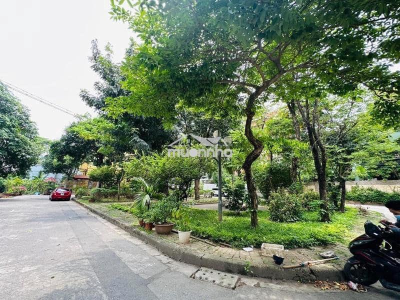 Bán đất khu biệt thự vườn đào 300m2 - 165 tỷ, 185m2 - 92 tỷ. xây cao - 2