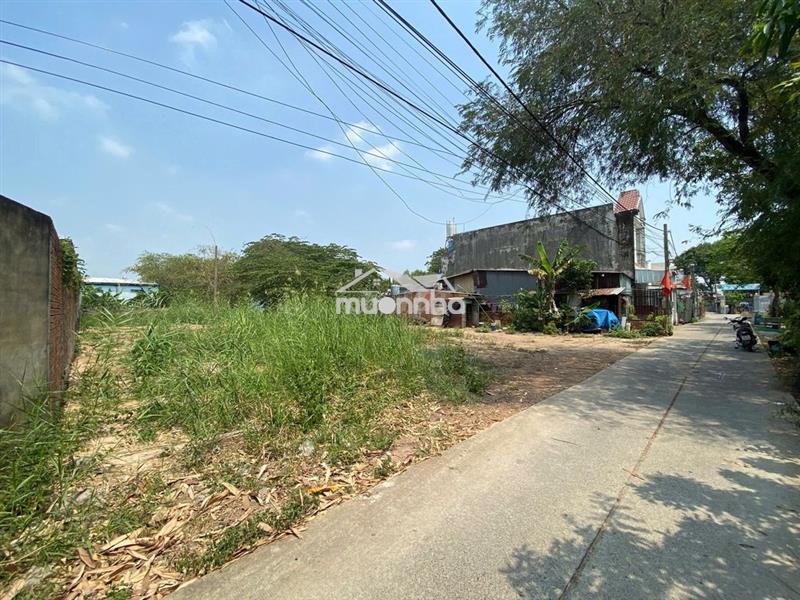 Đất 5x20m full thổ cư hẻm xe tải , xuân thới sơn gần dương công khi