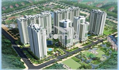 Chính chủ cho thuê căn giai việt - 2