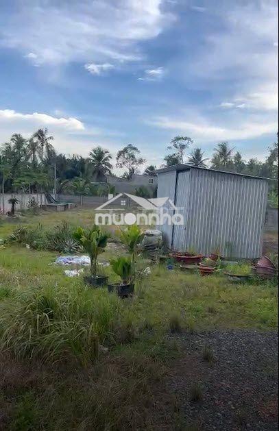 Bán đất mặt tiền vị trí đẹp tại bến tre vĩnh long - 3
