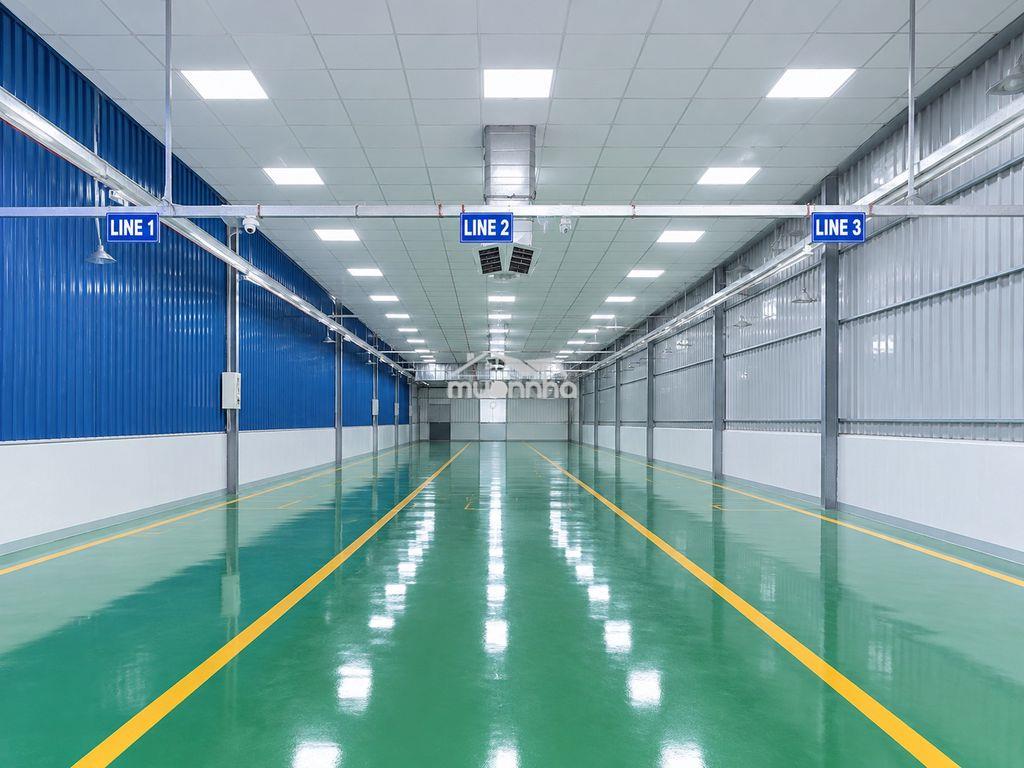 Cho thuê xưởng 300m ngay chợ thông dụng an phú thuận an - Ảnh 2