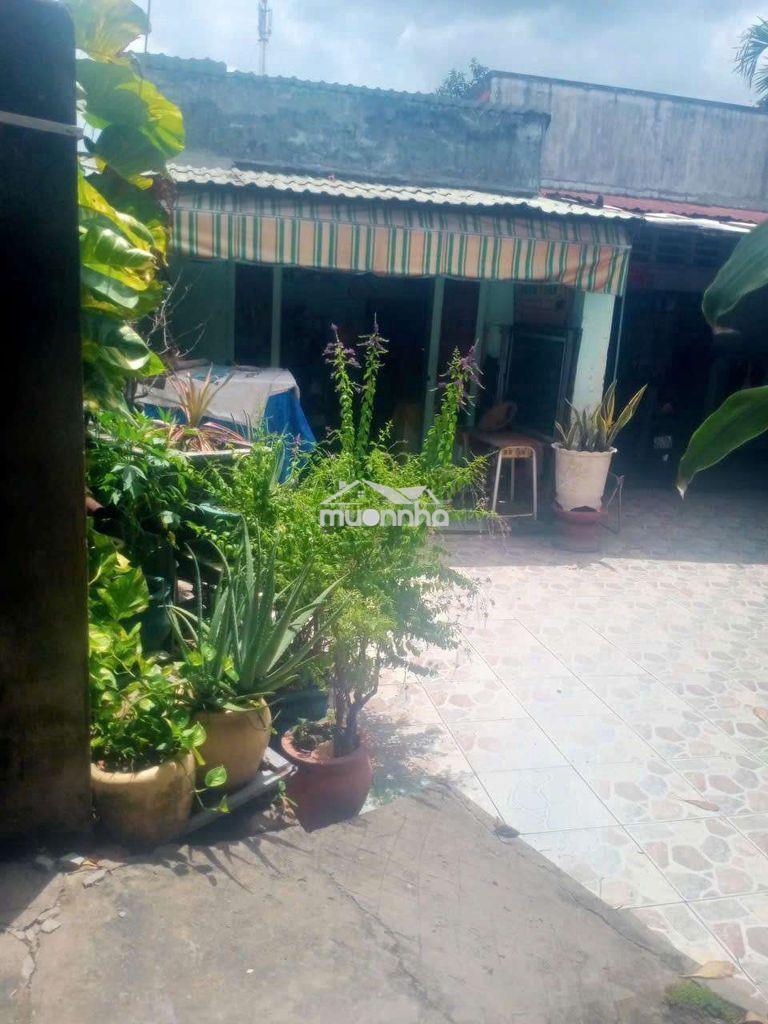 Bán đất tặng 3 căn nhà cấp 4 183m2 gần chợ tân phước khánh - 4