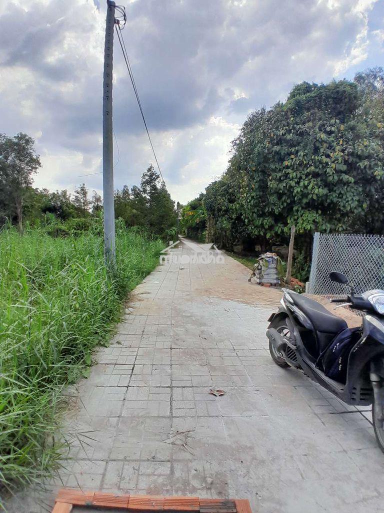 Cần bán miếng đất cây lâu năm - 3