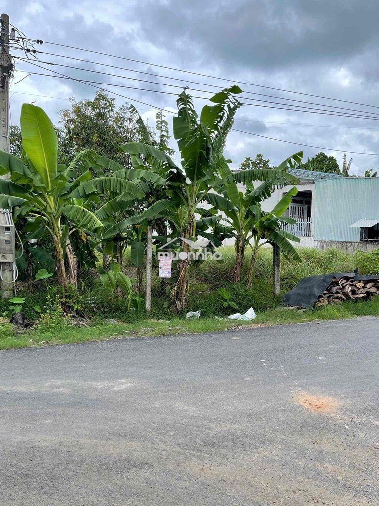 Bán miếng đất khu phố long yên, p. hoà thành, tây ninh - 3