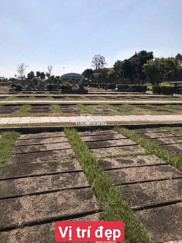 Chiính chủ gấp bán giá tốt m2.06-16 hoa viên sala garden - Ảnh 3