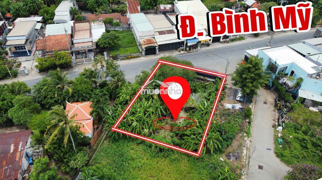 Lô góc 2 mặt tiền đường bình mỹ xã bình mỹ 400m2 giá tốt - Ảnh 2