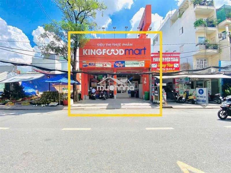 🔥 Cho thuê mặt tiền tân kiểng – quận 7 (dt 8x30m) 🔥