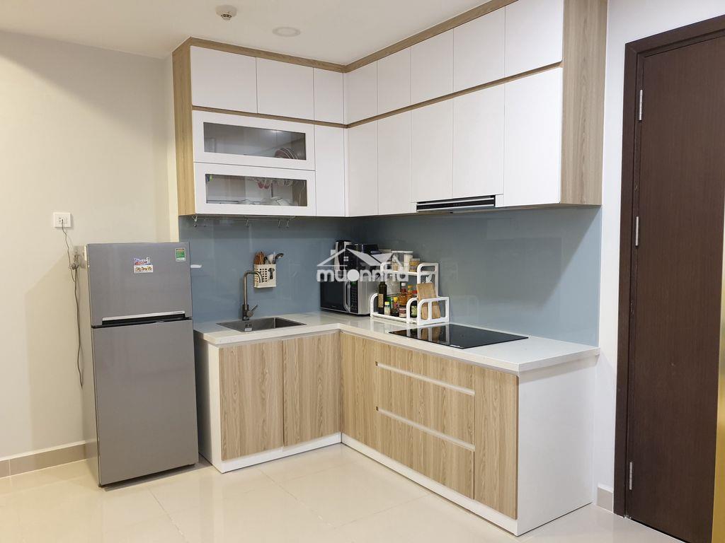 Cho thuê căn hộ chung cư 109 nguyễn biểu, q5, 50m2, 1pn, 9tr/tháng - Ảnh 4