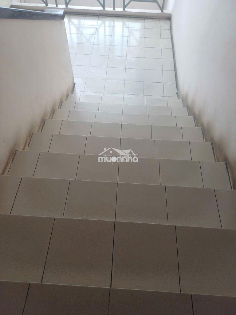 Bán căn hộ cc đầm sen căn góc  quận 11, tp.hcm, 52m2