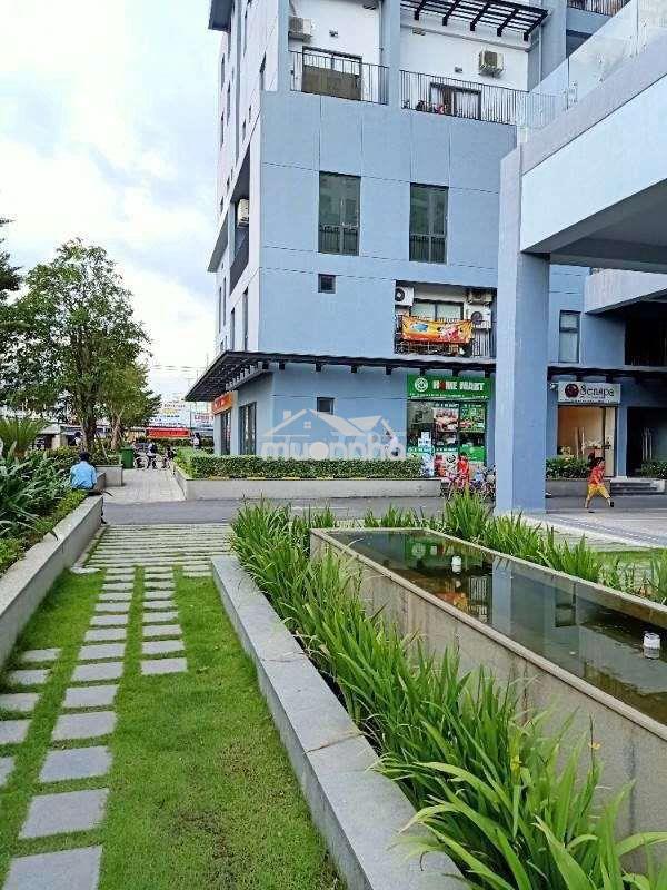 Cho thuê shophouse m-one, đường bế văn cấm, p.tân kiểng
dt : 83m2 - Ảnh 3